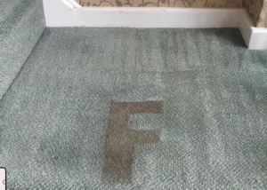 carpet cleaning huddersfield